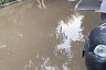 В Саратове из-за коммунальной аварии дерево рухнуло на машину