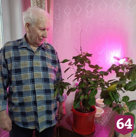 Саратовский пенсионер создает дома рай для птиц и фиалок