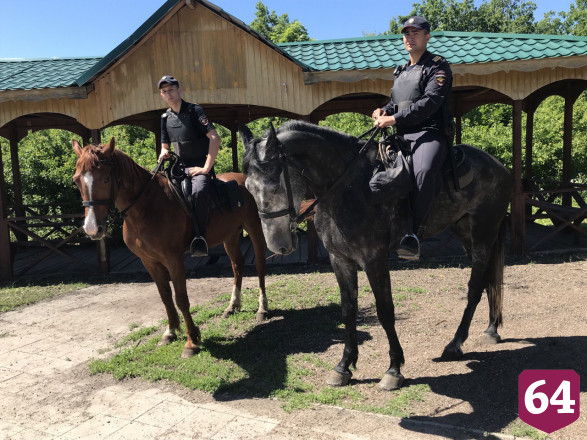 Беседки на Кумысной поляне охраняют полицейские кони 