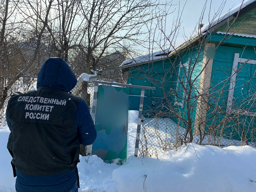 Кошка привела саратовца к трупу на даче
