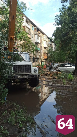 Поваленные сильным ветром деревья раздавили несколько автомобилей