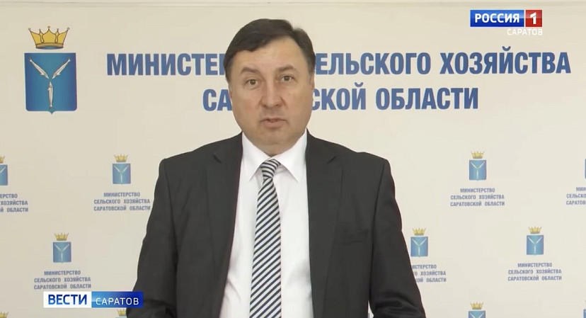 Саратовцев бесплатно обучат виноделию