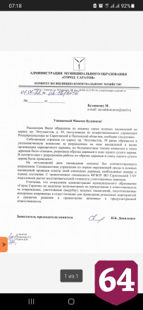 В Саратове незаконно спилили деревья ради парковки 