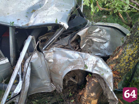 Водителя осудили за пьяное ДТП с деревом под Саратовом