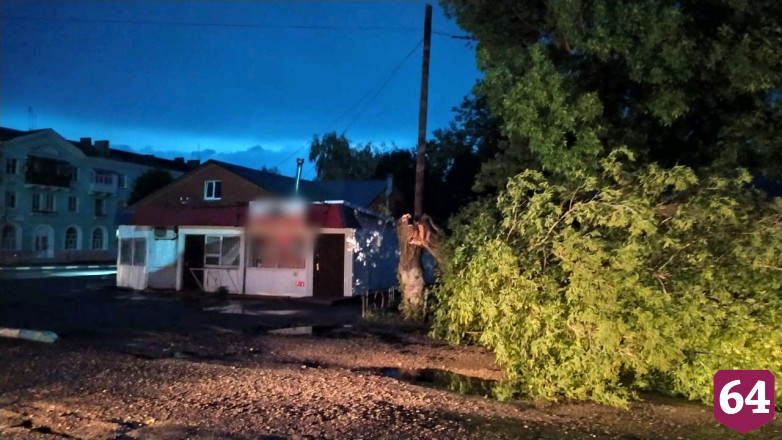Порыв ветра повалил дерево на 15-летнюю школьницу 