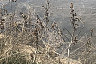 Сильный паводок обрадовал жителей Саратовской области