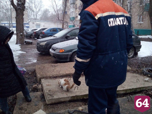 Спасатели достали из колодца котенка