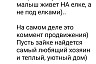 В Саратове щенок прячется в еловых лапах от агрессивных собак