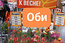 Саратовцы озвучили стоимость цветов к 8 Марта