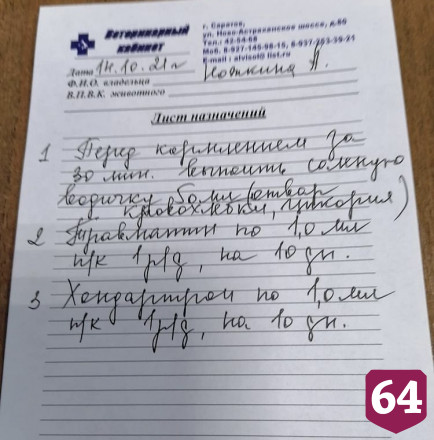 Саратовские волонтеры собирают деньги на лечение козленка