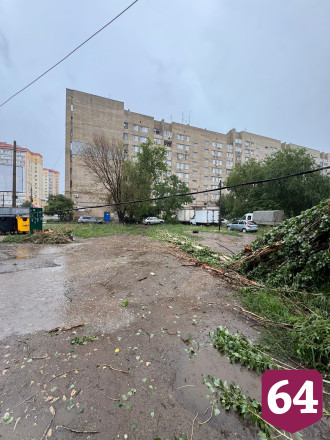 В Энгельсе рухнувший тополь оборвал провода