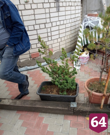 Саратовец организовал на крыше пятиэтажки зону отдыха