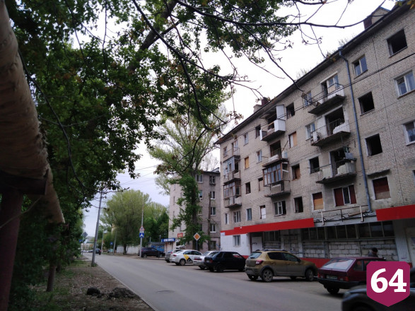 В Саратове огромное дерево рухнуло на теплотрассу