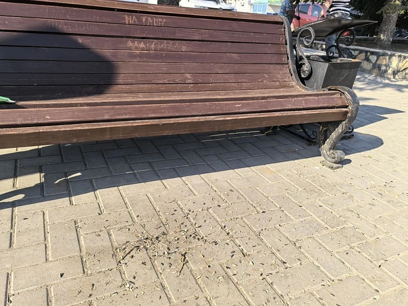 Саратовцы намусорили и изрисовали скамейки в парке 