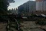 Ураган в Саратове валил деревья и срывал крыши домов