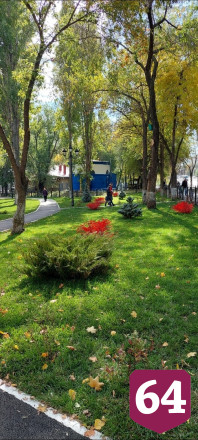 В Саратове без полива засыхает сквер