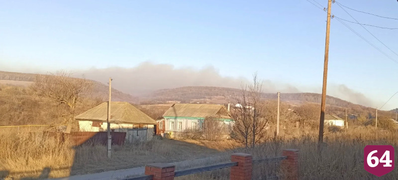 Жители саратовского села Лох и сотрудники лесхоза тушили крупный пожар