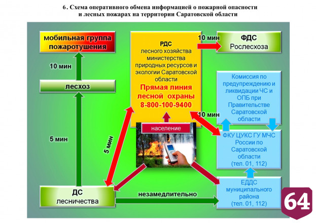 В Саратовской области сформировали 25 групп для борьбы с лесными пожарами