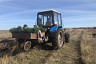 Под Саратовом высадили 200 гектаров леса 