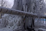 Саратовцы показали замерзшие коммунальные водопады