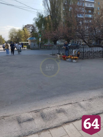 Под Саратовом женщина ведрами собирала на продажу краснокнижные тюльпаны