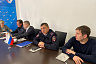 Саратовцы жалуются на стаи бездомных собак  