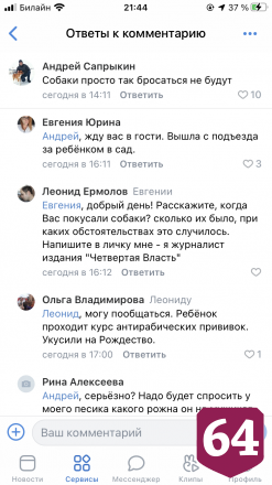 Бродячие псы напали на жительницу Саратова около подъезда