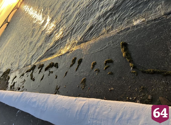 Саратовцы попросили очистить Волгу от мусора и водорослей