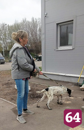 Саратовцам покажут мечтающих о доме собак из приюта