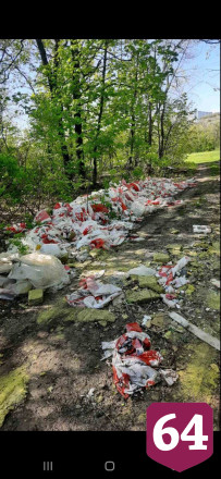 Жители Саратова устроили в лесу свалку мусора 