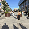 В Саратовской области температура воздуха поднимется выше 30 градусов
