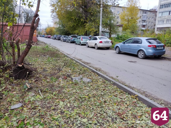 Саратовцы пожаловались на «козьи тропы» на пути в «Кванториум»