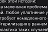 Саратовские ветеринары спасли кошку с огромными опухолями