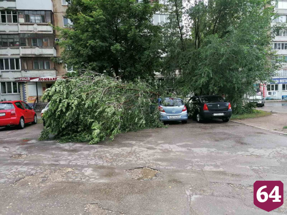 Поваленные сильным ветром деревья раздавили несколько автомобилей