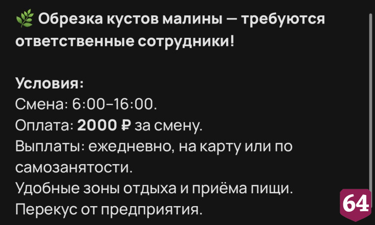 Саратовцам готовы платить 2 тысячи за обрезку малины