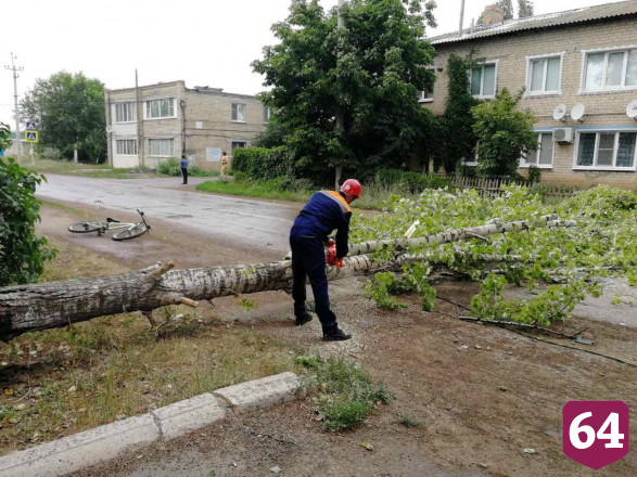 В Саратовской области ураган повалил 132 дерева