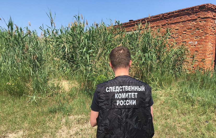 Тело пропавшей неделю назад женщины нашли в камышах