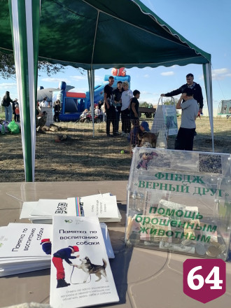 На саратовском фестивале лука нашли хозяев щенкам из приюта