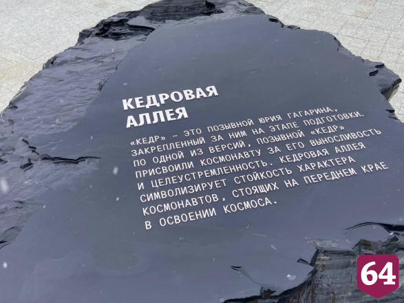В Парке покорителей космоса высадили более миллиона растений 