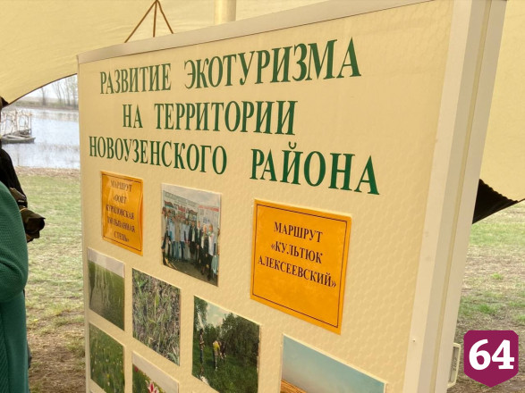 Саратовского губернатора поразили поля цветущих тюльпанов 