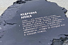 В Парке покорителей космоса высадили более миллиона растений 