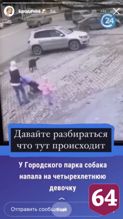 Саратовский кинолог озвучила правила поведения с бродячими собаками