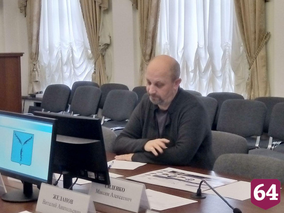 На саратовской набережной предложили устроить городские огороды и навесные мосты 