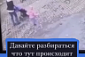 Саратовский кинолог озвучила правила поведения с бродячими собаками