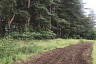Саратовские леса патрулируют пожарные на квадроциклах