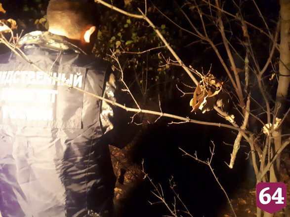 Жительницу Саратова заподозрили в убийстве и расчленении любовника