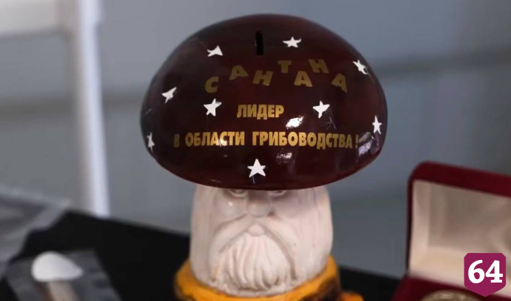 Саратовское предприятие производит до 300 тонн зернового мицелия в месяц