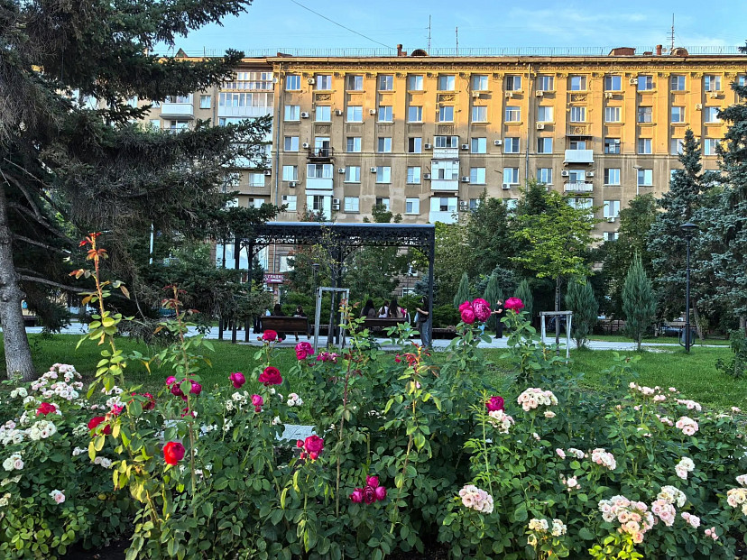 Температура воздуха в Саратовской области поднимется выше 30 градусов 