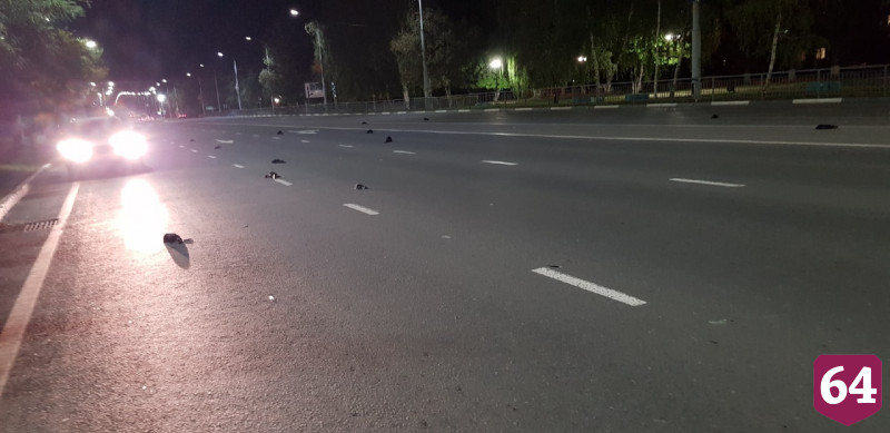 Ветеринары выясняют причину массовой гибели птиц в Саратовской области