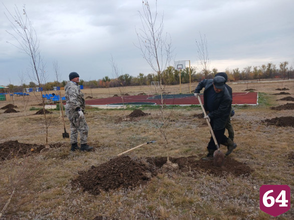 В детском лагере под Саратовом посадили липы и березы